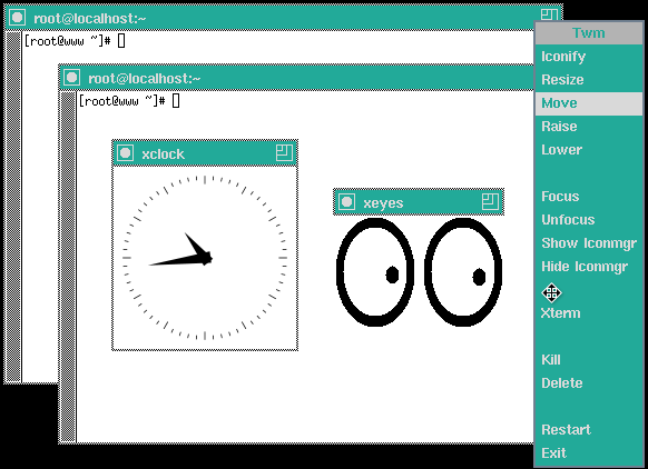 視窗管理員 twm 的功能顯示 視窗管理員 twm 的功能顯示