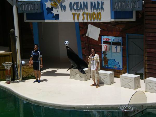 環島遊記第三天